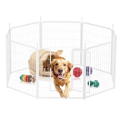 Hunde-Laufstall, 81,3 cm, 8 Paneele, Robustes Metall, Haustier-Laufstall für drinnen und draußen, für Camping, Hof, Wohnmobil, Gartenzaun, Privatsphäre, Terrasse, Weiß Hunde-Laufstall, 81,3 cm, 8 Paneele, Robustes Metall, Haustier-Laufstall für drinnen und draußen, für Camping, Hof, Wohnmobil, Gartenzaun, Privatsphäre, Terrasse, Weiß von HealSmart