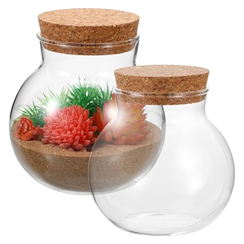 Healeved 2 runde Glasgefäße, Terrarium-Behälter, Kugel, Sukkulenten, Terrarium, Knospen, Vasen, Ostern, Süßigkeiten, Nachrichten, Wünsche, Flasche mit Korkdeckel für Pflanzen, 10 x 11 cm von Healeved