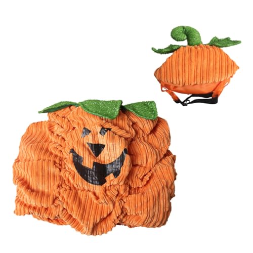 Healeved Warmer Halloween Haustierkostüm mit Kürbis Kürbishut und Kleidung Atmungsaktiv Langlebig für Halloween Partys und Haustier Events von Healeved