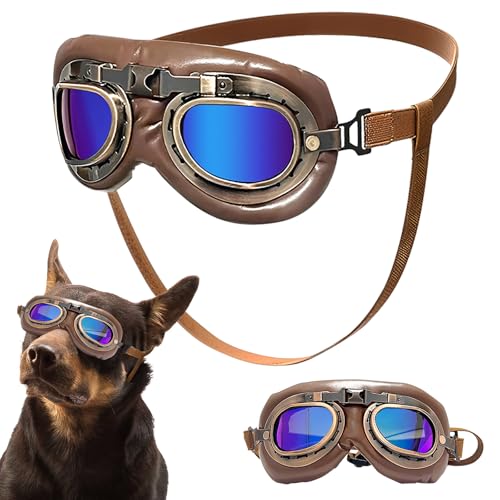 1Pcs Retro Hundebrille, Brille Hund UV-Schutz, Winddicht Hunde Brille, Sonnenbrille Hund mit Verstellbare Riemen 1Pcs Retro Hundebrille, Brille Hund UV-Schutz, Winddicht Hunde Brille, Sonnenbrille Hund mit Verstellbare Riemen von Healife