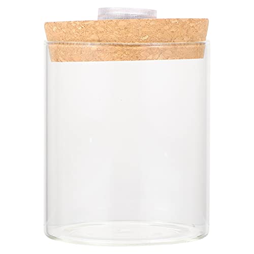 Healifty 1Stück Mini Aquariumflasche aus Borosilikatglas mit LED Licht Zylindrische Ökologische Flasche für Kreative und DIY Mikro Landschaften für Dekoration von Healifty