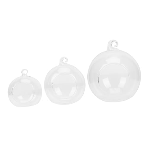Healifty 3Stücke Teiliges Mikrolandschaft Pflanzer Hängende Glasvase für Terrarien Ökologische Flasche mit Korkdeckel zur Dekoration und Aufbewahrung von Moos und Kleinen Pflanzen Healifty 3Stücke Teiliges Mikrolandschaft Pflanzer Hängende Glasvase für Terrarien Ökologische Flasche mit Korkdeckel zur Dekoration und Aufbewahrung von Moos und Kleinen Pflanzen von Healifty