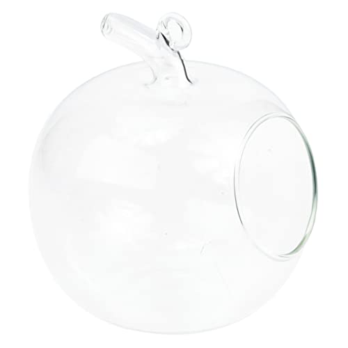 Healifty Apfelform Transparente Flasche Ökologischer Pflanzenbehälter für DIY Mikrolandschaften Kreative Terrarien Dekoration für Zuhause Garten und Büro von Healifty