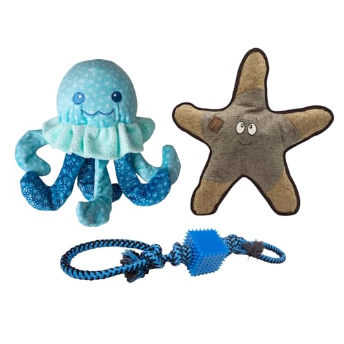 Health Extension SnugArooz Spielzeug-Set – Jelly The Fish – Sophie der Seestern & Tug N' Cube mit Patch-Reparatur – lustiges und langlebiges Spielzeug für Hunde Health Extension SnugArooz Spielzeug-Set – Jelly The Fish – Sophie der Seestern & Tug N' Cube mit Patch-Reparatur – lustiges und langlebiges Spielzeug für Hunde von Health Extension
