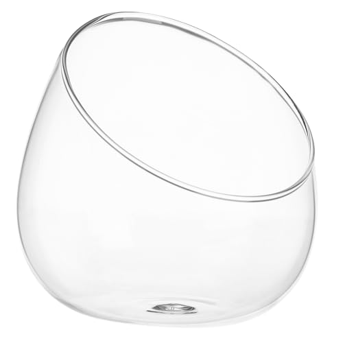 Healvian 1stk Schräg Geschnitten Schale Decoraciones para Sala De Casa Glas Terrarium Behälter Für Globuspflanzen Glas Obstglas Dekorative Vorratsgläser Glasschale Flach ?e Moos Teelicht von Healvian