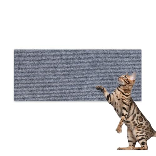 Hearda Kratzbretter Katze, Katzenkratzbrett Kratzbrett Selbstklebend Polyester Kratzpappe für Katzen Katzenkratz um Katzenkratzern Vorzubeugen und Sofa Teppiche Wände zu Schützen (Hellgrau,30x100cm) Hearda Kratzbretter Katze, Katzenkratzbrett Kratzbrett Selbstklebend Polyester Kratzpappe für Katzen Katzenkratz um Katzenkratzern Vorzubeugen und Sofa Teppiche Wände zu Schützen (Hellgrau,30x100cm) von Hearda