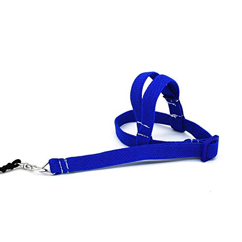 Hearthrousy Vogel Leine Vogelgeschirr Nymphensittich Vogelgeschirr Wellensittich Vogelgeschirr Aviator Pet Bird Papageiengeschirr Leine Bird Rope Training Supplies 2 M Hearthrousy Vogel Leine Vogelgeschirr Nymphensittich Vogelgeschirr Wellensittich Vogelgeschirr Aviator Pet Bird Papageiengeschirr Leine Bird Rope Training Supplies 2 M von Hearthrousy