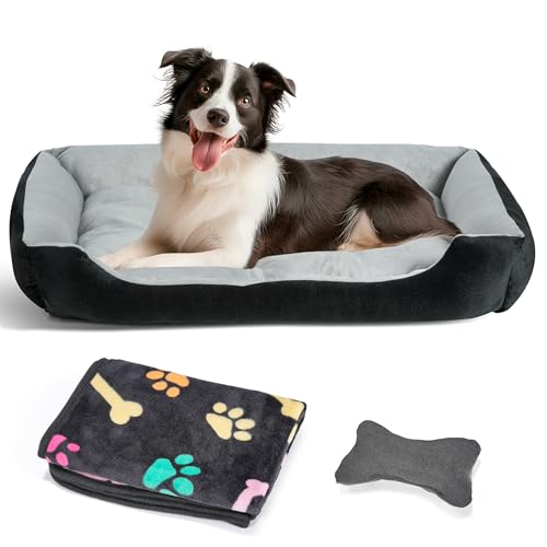 Hundebett Mittelgroße Hunde, mit erhöhte Ränder und abwaschbar Hundebetten, Hundematratze mit rutschfestem Boden, Hundematte für große mittelgroße Hunde-80×60×15cm (Grau) von Heatail