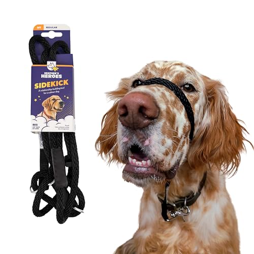 Heather's Heroes Sidekick Hundehalfter mit Leine, Sidekick-Leine für Hunde, effektives Hundetrainingswerkzeug bei Reaktivität und Verhaltensproblemen der Leine (normal (0,95 cm), Schwarz) von Heather's Heroes