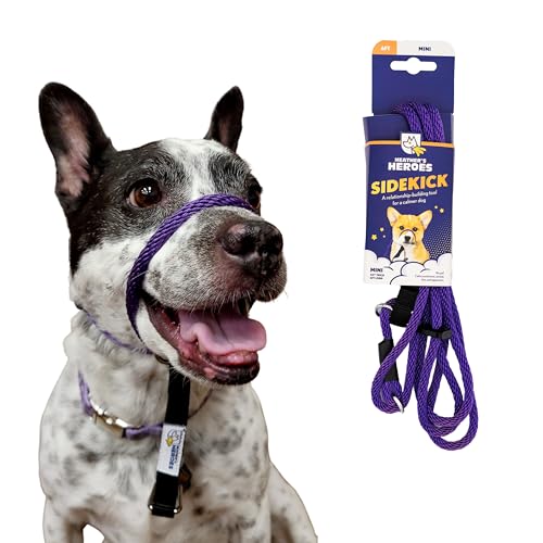Heather's Heroes Sidekick Hundehalfter mit Leine, effektives Hundetrainingsgerät für Reaktivität und Verhaltensprobleme der Leine (lila, Mini (6,35 mm) von Heather's Heroes