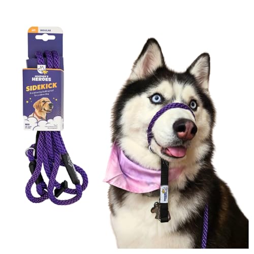 Heather's Heroes Sidekick Hundehalfter mit Leine, effektives Hundetrainingsgerät für Reaktivität und Verhaltensprobleme der Leine (normal (0,95 cm), Lila von Heather's Heroes