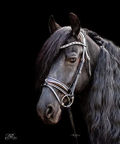 Heaven´s Horsewear Trense Sandra Plasser schwarz Glitzer, aus Rindsleder mit Lederzügeln und abnehmbaren Sperr-Riemen (Cob) von Heaven´s Horsewear