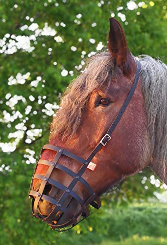 Heavy Horse Parts Fressbremse Strong Standardgröße ohne Kehlriemen und Verstärkter Bodenplatte von Heavy Horse Parts