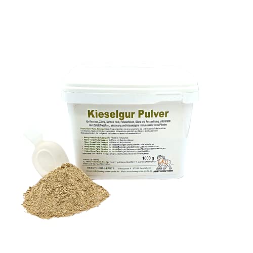 Heavy Horse Parts Kieselgur Pulver (1000 g) von Heavy Horse Parts