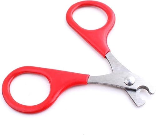 Haustier Nagelknipser -Katzenschere - Katzen Hunde Nägel - Rot - 8cm - Nagelknipser - Nagelschere - Tiernägel - Haustiere - von Heble Haustier Nagelknipser -Katzenschere - Katzen Hunde Nägel - Rot - 8cm - Nagelknipser - Nagelschere - Tiernägel - Haustiere - von Heble von Heble