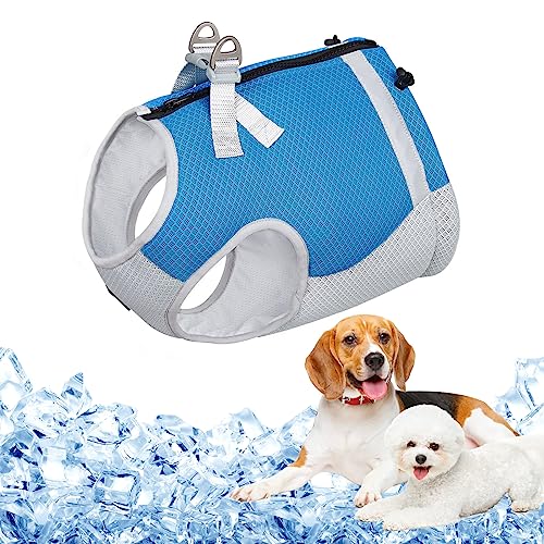 Kühlweste Hunde Atmungsaktives Mesh Hundejacke Hundekühlweste Verstellbare Kühljacke Sommer Cool Hundemantel mit Reflektierenden Streifen,Blau,XL von Heflashor