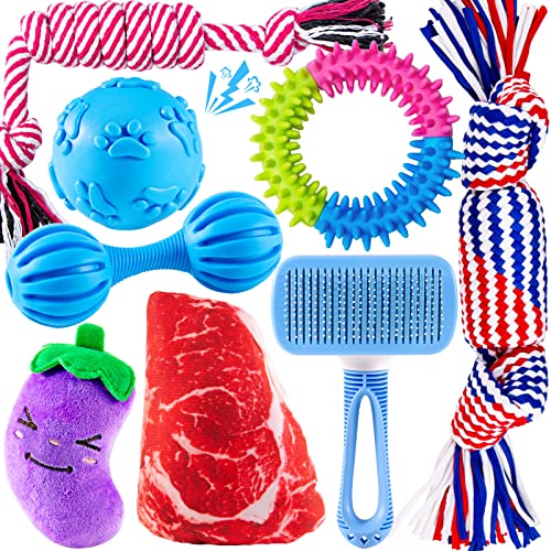 Heibizi Welpenspielzeug zum Zahnen kleiner Hunde, Hundespielzeug für kleine Hunde, Kauspielzeug für Welpen, kleines Hundespielzeug, Packung mit gefüllten Quietschspielzeugen, Hundeball, Ringspielzeug Heibizi Welpenspielzeug zum Zahnen kleiner Hunde, Hundespielzeug für kleine Hunde, Kauspielzeug für Welpen, kleines Hundespielzeug, Packung mit gefüllten Quietschspielzeugen, Hundeball, Ringspielzeug von Heibizi