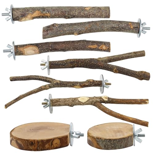 8pcs Papageienspielzeug, natürlicher Holzvogelperch, Hangable -Sittiche -Spielzeug, Vogelspielplatz für Papageien, Raubgüsse, Cockatiels, Lovebirds 8pcs Papageienspielzeug, natürlicher Holzvogelperch, Hangable -Sittiche -Spielzeug, Vogelspielplatz für Papageien, Raubgüsse, Cockatiels, Lovebirds von Heidouse