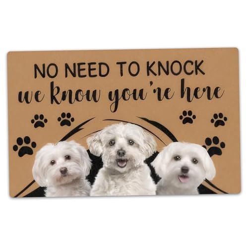 Haustürmatte 16x24 West Highland White Terrier Muster Türmatte ohne nötig zu klopfen Ich weiß, DASS Sie Hier personalisierte Fußmatte für Zuhause sind Haustürmatte 16x24 West Highland White Terrier Muster Türmatte ohne nötig zu klopfen Ich weiß, DASS Sie Hier personalisierte Fußmatte für Zuhause sind von Heidouse