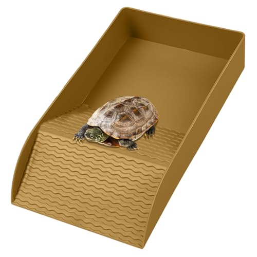 Heidouse Schildkrötelebensraum mit rutschfeiner Rampe Flacher Reptilienpool rechteckig 12x6x2in Turtle Wanne glattes und Robustes Plastikschildschild für Gecko Snake Heidouse Schildkrötelebensraum mit rutschfeiner Rampe Flacher Reptilienpool rechteckig 12x6x2in Turtle Wanne glattes und Robustes Plastikschildschild für Gecko Snake von Heidouse