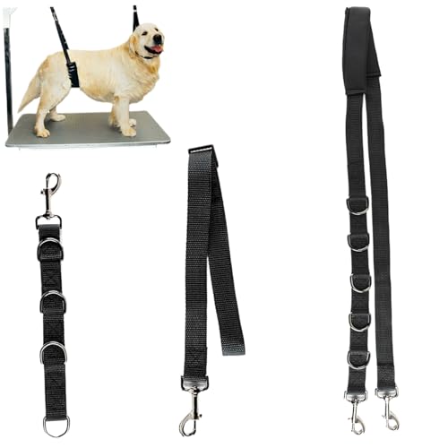Hundepflegerschleife, 3pcs einsenksam einstellbare Helfer mit D-Ringen, Schnellfreisetzungs-Pflege-Leine, Armleiter für Hunde Haarschneidwäsche. Hundepflegerschleife, 3pcs einsenksam einstellbare Helfer mit D-Ringen, Schnellfreisetzungs-Pflege-Leine, Armleiter für Hunde Haarschneidwäsche. von Heidouse