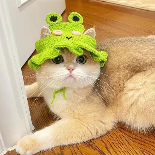 Katzenhut, niedliche Strickfroschkatze Hüte mit Ohrlöchern und Riemen, weiche, warme Party Kostüm Kopfbedeckung Accessoires für Kätzchen kleine Hunde kleine Tiere von Heidouse