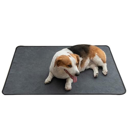 Pee-Pads für Hunde, 30 x 42 Zoll Ultra saugfähig absorbierende Fleece-Fleece-Waschkolben Wiederverwendbare Haustier-Trainingsmatte für Hunde/Katzen/Meerschweinchen/Kaninchen Pee-Pads für Hunde, 30 x 42 Zoll Ultra saugfähig absorbierende Fleece-Fleece-Waschkolben Wiederverwendbare Haustier-Trainingsmatte für Hunde/Katzen/Meerschweinchen/Kaninchen von Heidouse