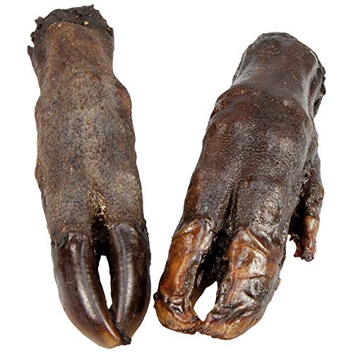 Heim GmbH Schecker Wildschwein Pfötchen Sehr Saubere Qualität 2 Stück Größe ca. 15 cm Heim GmbH Schecker Wildschwein Pfötchen Sehr Saubere Qualität 2 Stück Größe ca. 15 cm von Heim GmbH