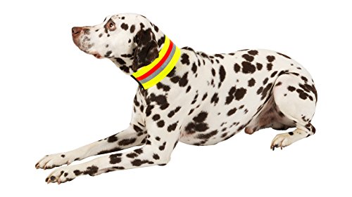Heim Signalhalsband für Hunde 40 cm von Heim