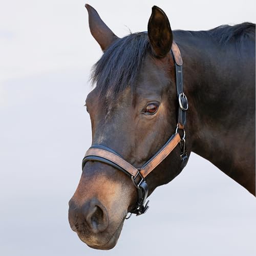 Heinick-Reitsport Lederhalfter Pillow, Anatomisches Genickstück, Weich Gepolstert, Cognac-Schwarz, Warmblut von Heinick-Reitsport