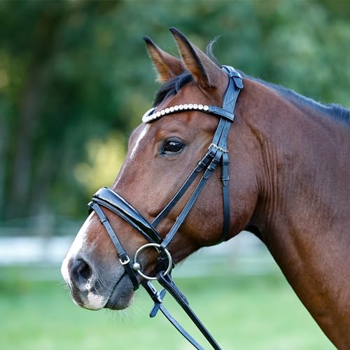 Heinick Trense Performance-Liberty Schwarz Lack Schnellwechselsystem ~ Vollblut ~ von Heinick-Reitsport