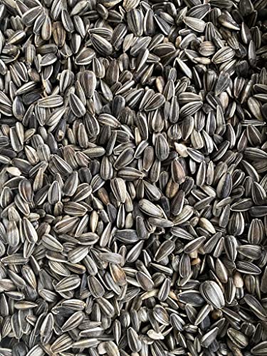 Deutsche gestreifte Sonnenblumenkerne 25 kg von Heinrichs Agrar aus der Layenmühle von Heinrichs Agrar