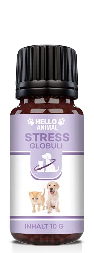 Hello Animal® Anti Stress Globuli – pflanzliches Baldrian Beruhigungsmittel für Katzen und Hunde – wirkt unterstützend gegen Panikattacken, innere Unruhe und Angststörungen, rezeptfrei Hello Animal® Anti Stress Globuli – pflanzliches Baldrian Beruhigungsmittel für Katzen und Hunde – wirkt unterstützend gegen Panikattacken, innere Unruhe und Angststörungen, rezeptfrei von Hello Animal