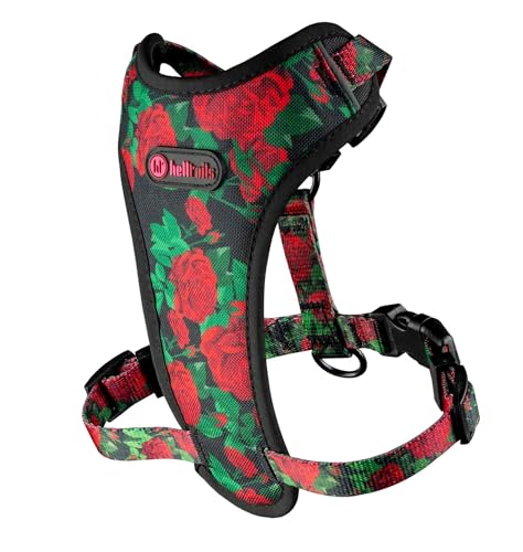 Helltails Anti Zug Hundegeschirr für Kleine Hunde | NO Absorb | Atmungsaktiv Geschirr Hund Reflektierend | Brustgeschirr Einstellbar und Gepolstert | Welpengeschirr | Dog Harness | Eternal Rose - XS Helltails Anti Zug Hundegeschirr für Kleine Hunde | NO Absorb | Atmungsaktiv Geschirr Hund Reflektierend | Brustgeschirr Einstellbar und Gepolstert | Welpengeschirr | Dog Harness | Eternal Rose - XS von Helltails