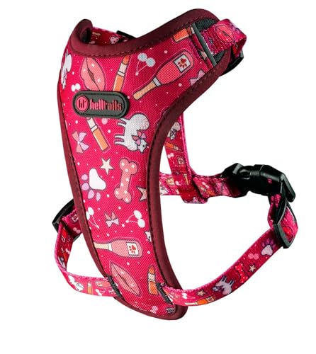 Helltails Anti Zug Hundegeschirr für Mittelgroße Hunde Gepolstert | NO Absorb | Atmungsaktiv Geschirr Hund Reflektierend | Brustgeschirr Einstellbar und Verstellbar | Dog Harness | Champagne Kiss - M Helltails Anti Zug Hundegeschirr für Mittelgroße Hunde Gepolstert | NO Absorb | Atmungsaktiv Geschirr Hund Reflektierend | Brustgeschirr Einstellbar und Verstellbar | Dog Harness | Champagne Kiss - M von Helltails