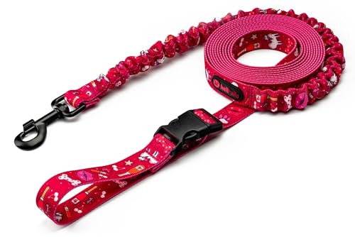 Helltails Ruckdämpfer Hundeleine mit Sicherheitskarabiner für Kleine, Mittelgroße und Große Hunde | Trainingsleine mit Beckengurt | 2.4-4M Lange | Bungee Leine Hund | Dog Leash | Champagne Kiss Helltails Ruckdämpfer Hundeleine mit Sicherheitskarabiner für Kleine, Mittelgroße und Große Hunde | Trainingsleine mit Beckengurt | 2.4-4M Lange | Bungee Leine Hund | Dog Leash | Champagne Kiss von Helltails