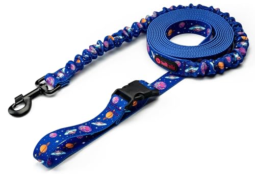 Helltails Ruckdämpfer Hundeleine mit Sicherheitskarabiner für Kleine, Mittelgroße und Große Hunde | Trainingsleine mit Beckengurt | 2.4-4M Lange | Bungee Leine Hund | Dog Leash | Cosmic Bloom Helltails Ruckdämpfer Hundeleine mit Sicherheitskarabiner für Kleine, Mittelgroße und Große Hunde | Trainingsleine mit Beckengurt | 2.4-4M Lange | Bungee Leine Hund | Dog Leash | Cosmic Bloom von Helltails