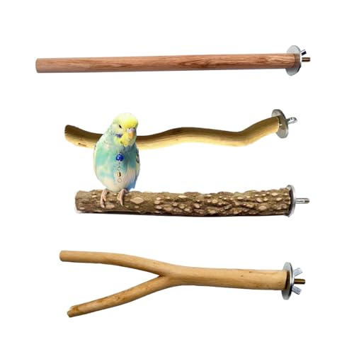 Natur Sitzstangen Set für Vögel, Stehend Vogelkäfig Zubehör, Sitzstangen für Vogelkäfige, Sitzstangen für Wellensittiche, Wellensittich Zubehör, für Wellensittich Kanarienvogel, 4 Stück Natur Sitzstangen Set für Vögel, Stehend Vogelkäfig Zubehör, Sitzstangen für Vogelkäfige, Sitzstangen für Wellensittiche, Wellensittich Zubehör, für Wellensittich Kanarienvogel, 4 Stück von Helweet