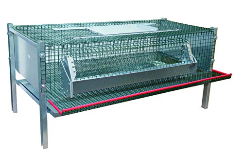 Legebox für Wachteln aus Metall 100 x 50 x 50 cm Nr. 41450 Legebox für Wachteln aus Metall 100 x 50 x 50 cm Nr. 41450 von Hemel