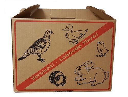 Hemel Transportkarton für Tauben und Kleintiere von Hemel