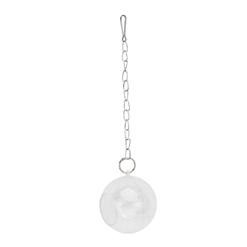 Hemobllo 1 Stück Fütterungsball Geflügel Hahn Küken Wasserspender für Hühner vogelfutterspender vogelfutterhäuschen Birdfeeder Bird feeders Futtertopf Käfig Zubehör Acryl Weiß von Hemobllo