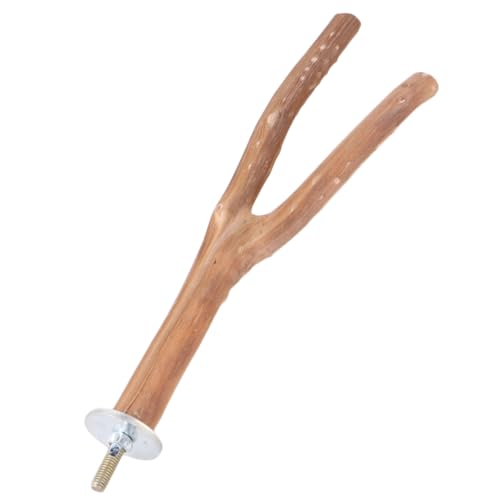Hemobllo 1stück Holz Stand Mit Gebogenem Design Für Papageien Kletter Und Krallenpflege Zubehör s Zufällige Farbe Robuste Holzstruktur Für Vögel Zum Sitzen Und Spielen Hemobllo 1stück Holz Stand Mit Gebogenem Design Für Papageien Kletter Und Krallenpflege Zubehör s Zufällige Farbe Robuste Holzstruktur Für Vögel Zum Sitzen Und Spielen von Hemobllo