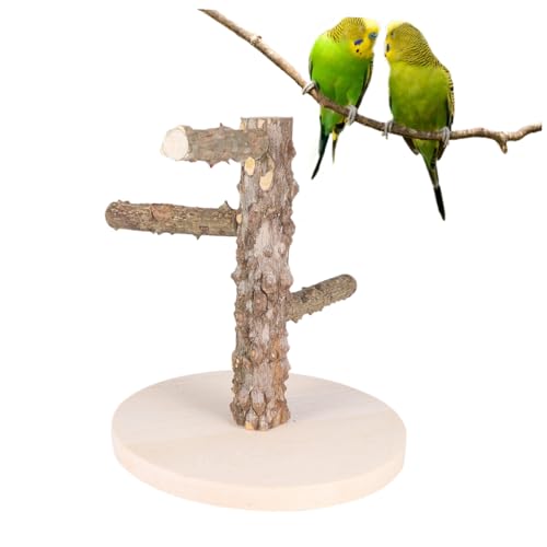 Hemobllo 1 Stück Holzstand Papageienbarsch groß Papageienspielzeug Kletterständer für Vögel Stange für Papageienständer Vogelspielzeug für Papageien Bambus Hemobllo 1 Stück Holzstand Papageienbarsch groß Papageienspielzeug Kletterständer für Vögel Stange für Papageienständer Vogelspielzeug für Papageien Bambus von Hemobllo