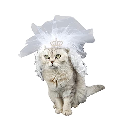 Hemobllo 1 Stück Katzenhochzeitszubehör Katzen Brautkleid Katzenhochzeitskleid mit Schleier Haustier Bräute Braut- Erwachsene drinnen Dame Katzen-Spitzenkleid Brautjungfernkleid Katze Weiß von Hemobllo