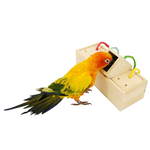 Hemobllo Pädagogisches Papagei Futtersuche Spielzeug Box Vogel Feeder Spielzeug für Nymphensittich Ara Conure Vogel Liefert Hemobllo Pädagogisches Papagei Futtersuche Spielzeug Box Vogel Feeder Spielzeug für Nymphensittich Ara Conure Vogel Liefert von Hemobllo