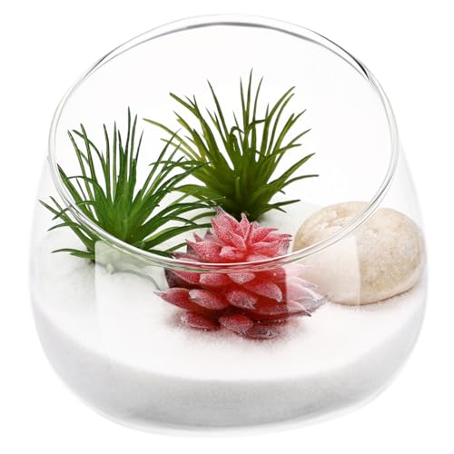 Hemobllo 1 Stück Saftiges Konservengläser Pflanzenterrarium Schüssel-Terrarium Aquarienlicht Sukkulenten Gießkanne Trinken Led Aquarium Licht Vasen Wasservase Uv-licht Transparent von Hemobllo