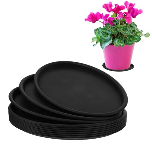 Hemobllo 10stücke Blumentopf Untersetzer wasserdichte Pflanzenschalen Für Und Außenbereich Große Auffangschalen Für Pflanzenpflege Für Bonsai Und Blumen Hemobllo 10stücke Blumentopf Untersetzer wasserdichte Pflanzenschalen Für Und Außenbereich Große Auffangschalen Für Pflanzenpflege Für Bonsai Und Blumen von Hemobllo