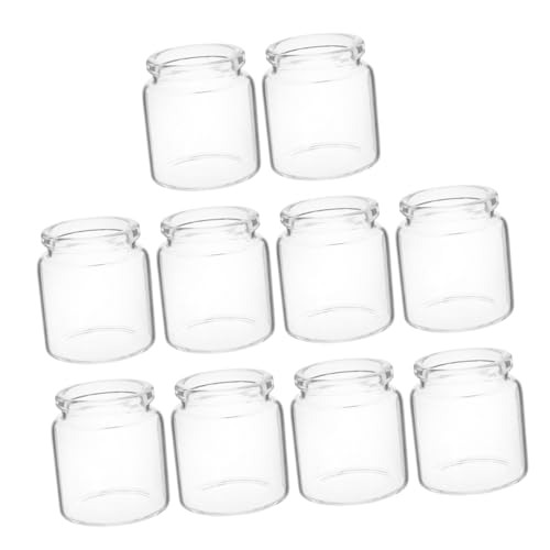 Hemobllo 10 Stück Mini Glasflaschen Für Sukkulenten Vasen Pflanzen Wissenschaftliche Glasröhre Terrarium Glasflasche Sukkulenten Blumentopf Anzuchtgläser Blumenflaschen von Hemobllo