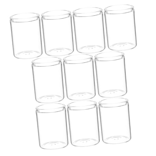 Hemobllo 10 Stück Mini Glasflaschenvasen Für Sukkulenten Kleines Terrarium Glasterrarium Mini Glasflaschen Blumengießflasche Sukkulenten Glasflaschen Pflanzgefäß Mini Terrarium von Hemobllo