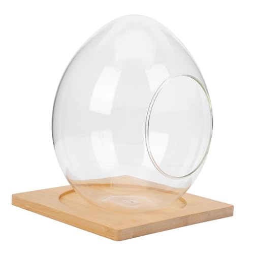 Hemobllo 1satz Landscape Glasvase Mit Holzsockel -Shaped Hydroponic Terrarium Für Pflanzen Und Moos Elegante Tischdeko Für Ihr Zuhause von Hemobllo